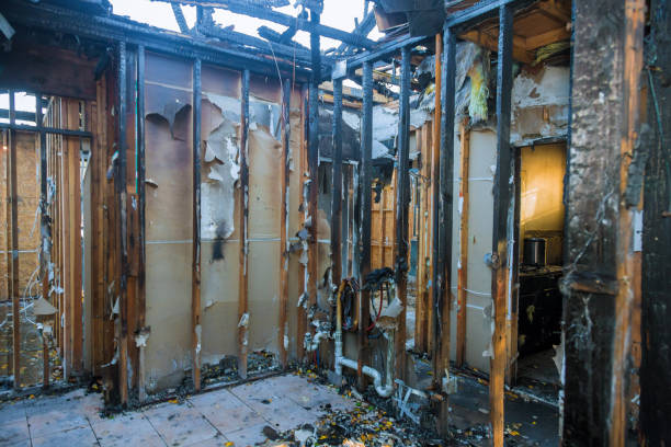 Professional Odor Removal technician working in Laurel, VA