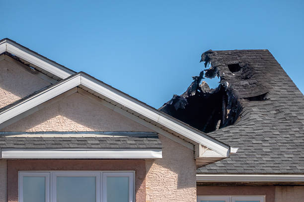 Top rated local Odor Removal specialists in Laurel, VA